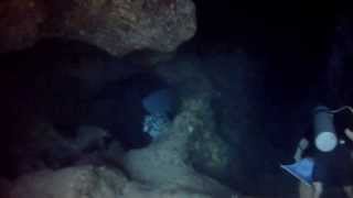 Chankanaab Cave Dive Cozumel [upl. by Enylcaj442]