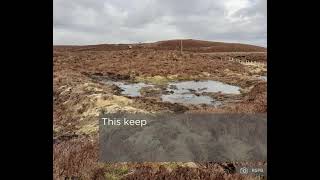 Peatland restoration work at the Llyn Efyrnwy Estate by the RSPB [upl. by Grory346]