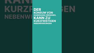 Alkohol oder Cannabis– was ist schädlicher [upl. by Onateag528]