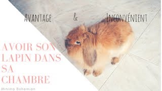 AVOIR SON LAPIN DANS SA CHAMBRE [upl. by Abdella]