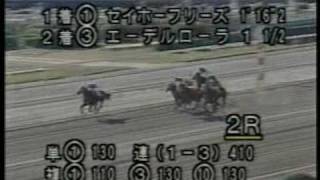 1993・東京大賞典（ホワイトシルバー）当日の大井競馬ダイジェスト [upl. by Bortz]