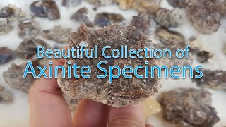 Axinite Mineral Specimens Collection  Axinite Fe Crystals [upl. by Eanat]