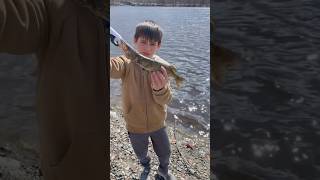 Giant pickerel pickerel fishing fish pikefishing viralvideo [upl. by Thorwald626]