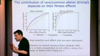 The Impact of Recent Human Demography on Deleterious Mutation Load and the Genetic [upl. by Worthington974]