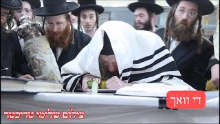 Lelov Nikolsburg Rebbe Doing Nanuim Hoshana Rabbah 5785 [upl. by Moazami]