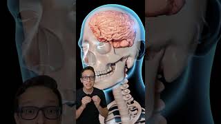 Concussão Cerebral 😱medicina medico enfermagem enfermeiro enfermeira neurologia nocaute boxe [upl. by Corsiglia430]