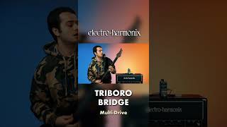 EHX Pico Triboro Bridge MultiDrive Pedal Demo [upl. by Atalanta651]