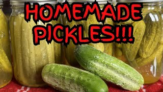 Easy Pickling with Mrs Wages Kits Tutorial [upl. by Aznaed]