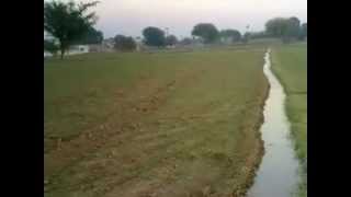 kithey gaiyan pind diyan tahliyan village naryal  YouTubeFLV [upl. by Gillan]