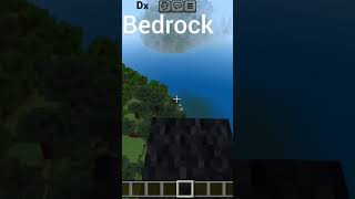 Minecraft Java vs Bedrock [upl. by Ash]