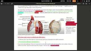 physiologie respiratoire mécanique ventilatoire [upl. by Assirek]