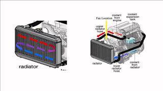 Car Radiator as a Heat Exchanger [upl. by Ainsworth]