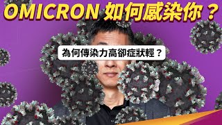 感染 Omicron 多為輕症的原因？細胞感染實驗揭開謎底！ [upl. by Tiny]