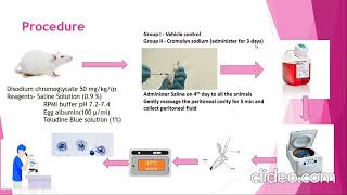 Antiallergic activity by using mast cell stabilization assay [upl. by Christiansen]