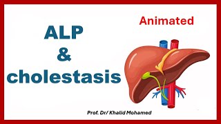 Animation of ALP increases in cholestasis alp animation cirrhosis [upl. by Benetta579]