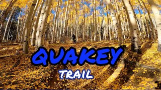 SWEET SINGLE TRACK  Quakey Mountain Trail Sargents Colorado October dirt bike riding FALL colors [upl. by Mitzl]