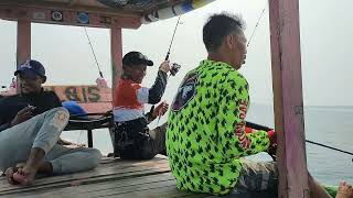 MANCING NGAPUNG TANJUNG KAIT [upl. by Goodwin]