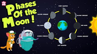 Phases Of The Moon  Why Does The Moon Change Its Shape  Space  Dr Binocs Show  Peekaboo Kidz [upl. by Lleznov]