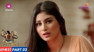 Naagin  नागिन  Episode 37  Part 3  Shesha ने Shivanya को Ritik का असली रंग दिखाया [upl. by Batty]