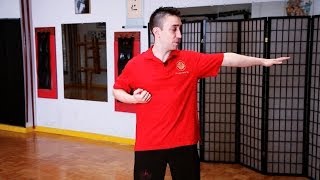 How to Do the Chum Kiu Form  Wing Chun [upl. by Ekyt831]