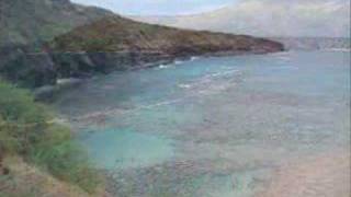 Hawaii Hanauma Bay [upl. by Ahsatsana496]