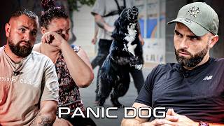 quotMon chien est devenu un CRMINEL quot  Chien AGRESSIF HUMAIN  Panic Dog Ep17 [upl. by Uba]