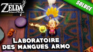 Laboratoire des mangues armo  Éventail dor Solution  The Legend of Zelda Echoes of Wisdom [upl. by Astred115]