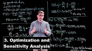 Optimization and Sensitivity Analysis  Math Modelling  Lecture 3 [upl. by Xineohp758]