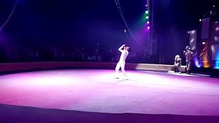 цирк жонглирование выступление артистов представление клоун circus juggler clown performance [upl. by Atiekahs]