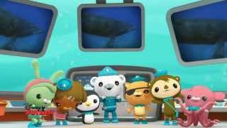 Octonauts Saison 3  Episode 5 [upl. by Bordiuk234]