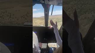 Terrified Helicopter Pilot Stops Tourist as They Attempt to Grab Rotor Brake While Flying  1425189 [upl. by Brianna]