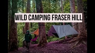 Wild Camping in Fraser Hill Malaysia [upl. by Ricketts173]