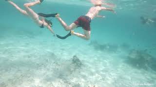 Zanzibar  Mnemba  Snorkeling [upl. by Sorvats]