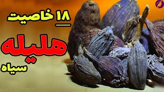 خواص هلیله سیاه 😍 18 خاصیت هلیله سیاه که تعجب می‌کنید 🔴 عوارض هلیله [upl. by Nai]