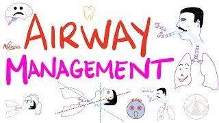 Airway Management  Tracheal Intubation  Anesthesiology Series [upl. by Nwahsan]