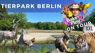 Bake amp Play on Tour  Tierpark Berlin [upl. by Spurgeon]