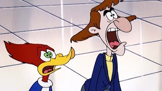 Woody Woodpecker  Couples Therapy  More Full Episodes [upl. by Udale]