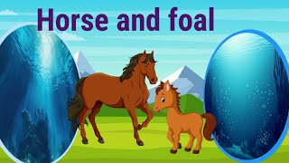 Domestic animals name and their young onesanimal nameanimals name for kids [upl. by Evin]