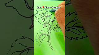 Rose Flower Drawing art reels art drawing apt yt youtubeshorts shorts [upl. by Cohligan]