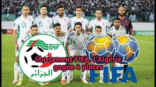 Classement FIFA L’Algérie gagne 4 places [upl. by Ramona]