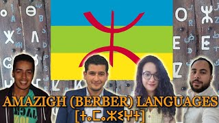 Can Amazighs Understand Each Other [upl. by Norma340]