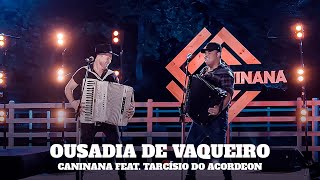 Ousadia de Vaqueiro  Caninana amp Tarcísio do Acordeon Clipe Oficial [upl. by Haleigh276]