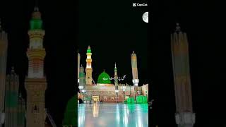 naat slowed reverb 🕌 ♥ viralnaat status muhammadﷺ naat islamicstatus islamicvideo viral [upl. by Naujej307]