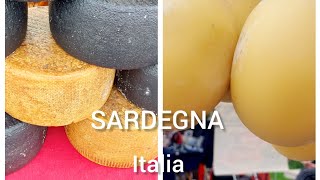 Italia Sardegna I FORMAGGI TIPICI SARDI Delizioso formaggio travel italy cheese 2024 [upl. by Shandy]