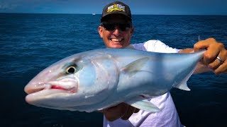 Amberjack Catch Clean Cook Tasty Tuesday [upl. by Kcinemod]