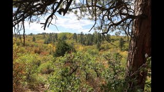 Simms Mesa Trail [upl. by Morris387]