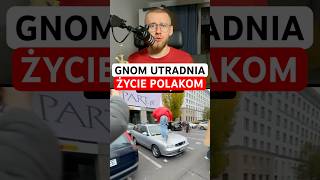 Gnom utrudnia życie Polakom crawly gnom [upl. by Aizahs]