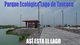 PARQUE ECOLÓGICO LAGO de TEXCOCO Mx  Así se ve el Lago de Texcoco [upl. by Kopans]