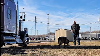 Not The Ending Id Hoped For  Shopping In A Kenworth W900 [upl. by Erbma891]