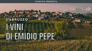 Emidio Pepe all’origine del Montepulciano d’Abruzzo  Tannico [upl. by Tatum]